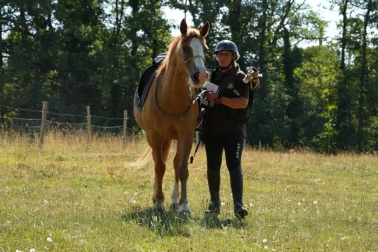 Championnat TREC Pays de la Loire, Amateur 1 et 2, MA (suite), PTV.