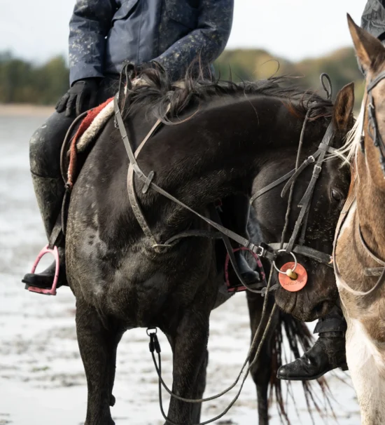 Sortie plage ados Pont Mahé (Partie 2)