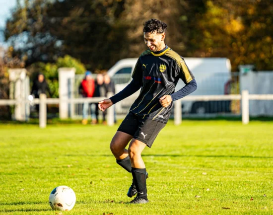 ACR / LES VOLTIGEURS D4