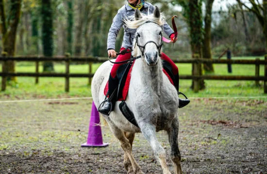 TIR A L&rsquo;ARC à cheval (1)