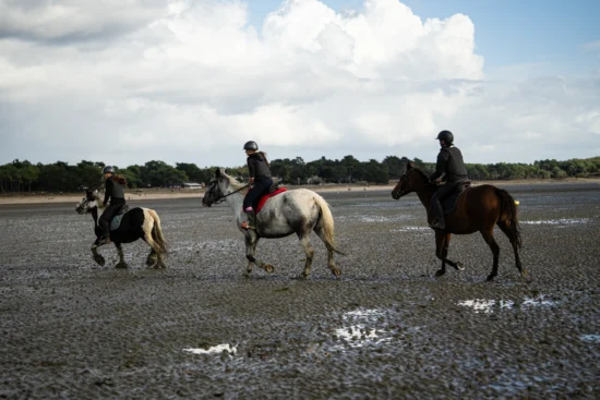 Sortie plage Pont Mahé, partie 3